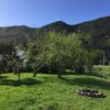 Hone & Land Clearings
