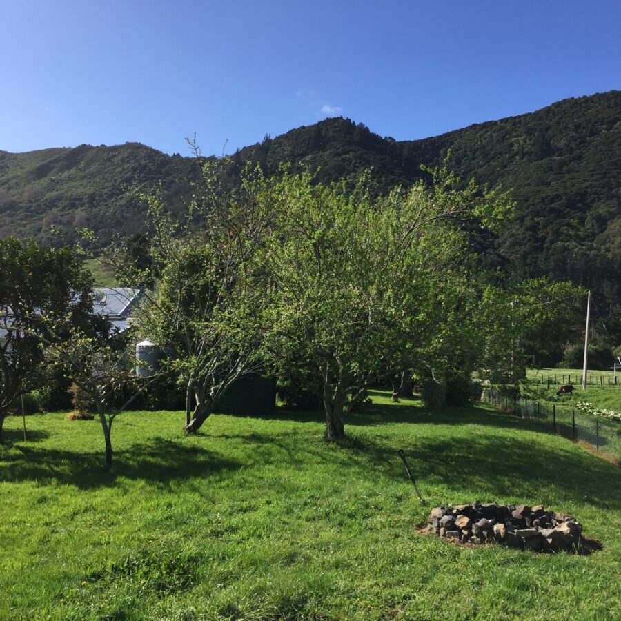 Hone & Land Clearings